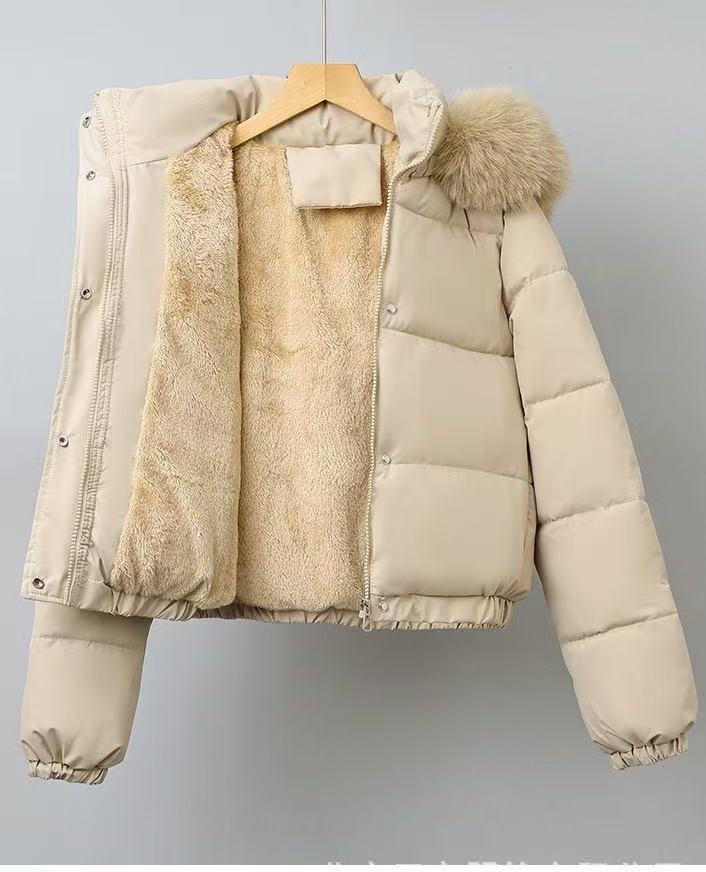 T588-737 Winter women's coat with fur collar for warmth